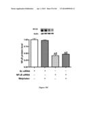 METHOD FOR REGULATING RETINAL ENDOTHELIAL CELL VIABILITY diagram and image