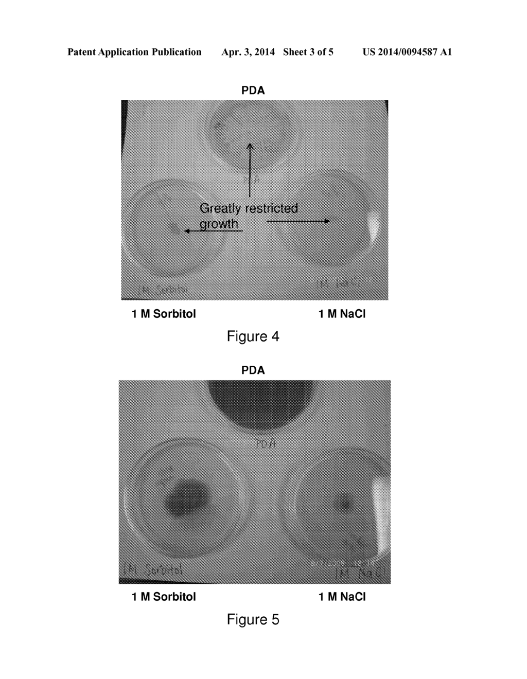 FILAMENTOUS FUNGI HAVING AN ALTERED VISCOSITY PHENOTYPE - diagram, schematic, and image 04