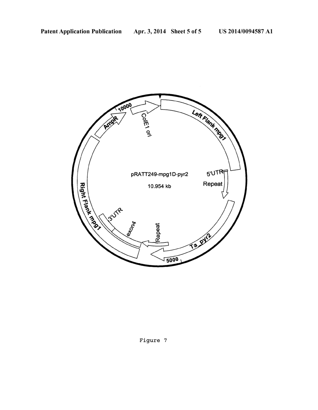 FILAMENTOUS FUNGI HAVING AN ALTERED VISCOSITY PHENOTYPE - diagram, schematic, and image 06