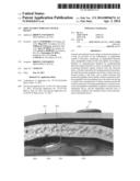 IMPLANTABLE WIRELESS NEURAL DEVICE diagram and image