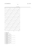 MEANS AND METHODS TO INDUCE APOMIXIS IN PLANTS diagram and image