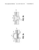 Sample Substrate Having a Divided Sample Chamber and Method of Loading     Thereof diagram and image