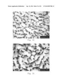 Aligned Graphene Sheets-Polymer Composite and Method for Manufacturing the     Same diagram and image