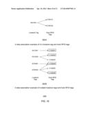 Food Source Information Transferring System and Method for a Livestock     Slaughterhouse diagram and image