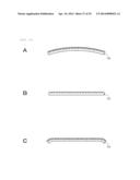 OPTICAL ELEMENT, DISPLAY DEVICE, AND INPUT DEVICE diagram and image