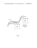 SYSTEMS FOR CORRECTING DISTORTIONS IN A MEDICAL IMAGE AND METHODS OF USE     THEREOF diagram and image