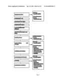 ANTIBODY PRODUCT COMPRISING N SPECIFIC ANTIBODIES diagram and image