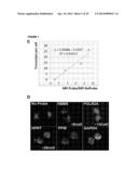 DETECTION OF TARGET NUCLEIC ACIDS IN A CELLULAR SAMPLE diagram and image