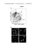 DETECTION OF TARGET NUCLEIC ACIDS IN A CELLULAR SAMPLE diagram and image