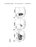 DETECTION OF TARGET NUCLEIC ACIDS IN A CELLULAR SAMPLE diagram and image