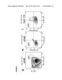 DETECTION OF TARGET NUCLEIC ACIDS IN A CELLULAR SAMPLE diagram and image