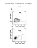 DETECTION OF TARGET NUCLEIC ACIDS IN A CELLULAR SAMPLE diagram and image