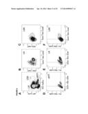 DETECTION OF TARGET NUCLEIC ACIDS IN A CELLULAR SAMPLE diagram and image