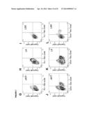 DETECTION OF TARGET NUCLEIC ACIDS IN A CELLULAR SAMPLE diagram and image