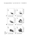 DETECTION OF TARGET NUCLEIC ACIDS IN A CELLULAR SAMPLE diagram and image