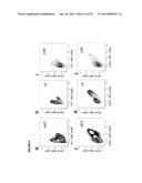 DETECTION OF TARGET NUCLEIC ACIDS IN A CELLULAR SAMPLE diagram and image