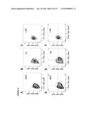 DETECTION OF TARGET NUCLEIC ACIDS IN A CELLULAR SAMPLE diagram and image