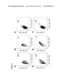 DETECTION OF TARGET NUCLEIC ACIDS IN A CELLULAR SAMPLE diagram and image