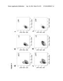 DETECTION OF TARGET NUCLEIC ACIDS IN A CELLULAR SAMPLE diagram and image