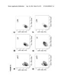 DETECTION OF TARGET NUCLEIC ACIDS IN A CELLULAR SAMPLE diagram and image