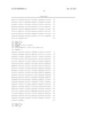 CORYNEBACTERIUM SP. TRANSFORMED WITH A FRUCTOKINASE GENE DERIVED FROM     ESCHERICHIA SP. AND PROCESS FOR PREPARING L-AMINO ACID USING THE SAME diagram and image