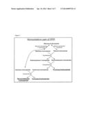 MICROORGANISM EXPRESSING XYLOSE ISOMERASE diagram and image