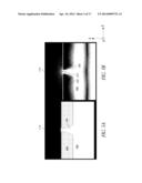 OPTICAL SENSOR FOR ANALYTE DETECTION diagram and image