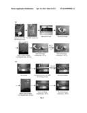 Waterborne Shape Memory Polymer Coatings diagram and image