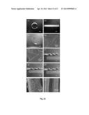 Waterborne Shape Memory Polymer Coatings diagram and image