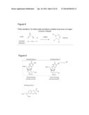 METHODS OF X-APTAMER GENERATION AND COMPOSITIONS THEREOF diagram and image
