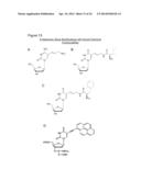 METHODS OF X-APTAMER GENERATION AND COMPOSITIONS THEREOF diagram and image