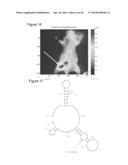 METHODS OF X-APTAMER GENERATION AND COMPOSITIONS THEREOF diagram and image