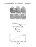 LIVER CANCER DIAGNOSIS MARKER AND USE THEREOF diagram and image