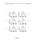 Methods and Compositions for the Diagnosis of Ovarian Cancer diagram and image