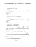 PROCESSES FOR DETECTING OR QUANTIFYING MORE THAN ONE NUCLEIC ACID IN A     LIBRARY diagram and image