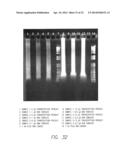 PROCESSES FOR DETECTING OR QUANTIFYING MORE THAN ONE NUCLEIC ACID IN A     LIBRARY diagram and image