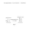 METHODS OF LOCALIZING NUCLEIC ACIDS TO ARRAYS diagram and image