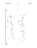 Prodrugs of Peptide Epoxy Ketone Protease Inhibitors diagram and image