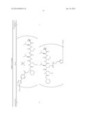 Prodrugs of Peptide Epoxy Ketone Protease Inhibitors diagram and image