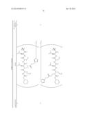 Prodrugs of Peptide Epoxy Ketone Protease Inhibitors diagram and image