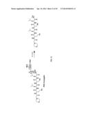 Prodrugs of Peptide Epoxy Ketone Protease Inhibitors diagram and image