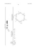 Prodrugs of Peptide Epoxy Ketone Protease Inhibitors diagram and image