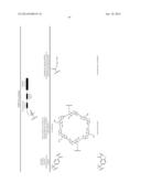 Prodrugs of Peptide Epoxy Ketone Protease Inhibitors diagram and image