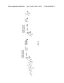 Prodrugs of Peptide Epoxy Ketone Protease Inhibitors diagram and image