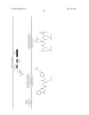 Prodrugs of Peptide Epoxy Ketone Protease Inhibitors diagram and image