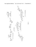 Prodrugs of Peptide Epoxy Ketone Protease Inhibitors diagram and image