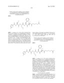 Prodrugs of Peptide Epoxy Ketone Protease Inhibitors diagram and image