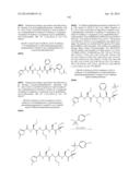 Prodrugs of Peptide Epoxy Ketone Protease Inhibitors diagram and image