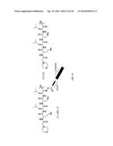 Prodrugs of Peptide Epoxy Ketone Protease Inhibitors diagram and image