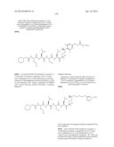 Prodrugs of Peptide Epoxy Ketone Protease Inhibitors diagram and image